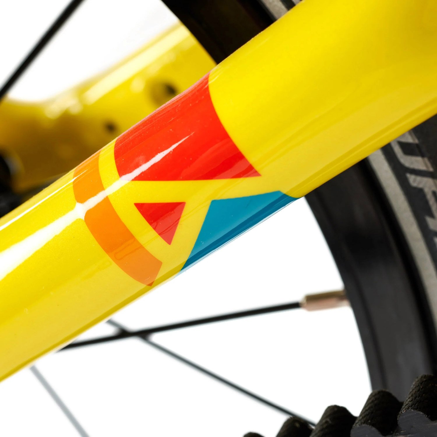 ACADEMY Grado 6 Bicicletta per bambini con cintura